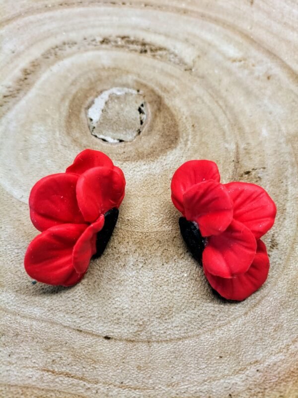 collection rouge