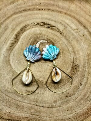 collection coquillage