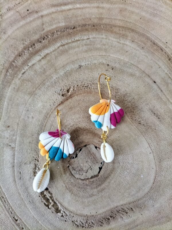 collection coquillage multicolore