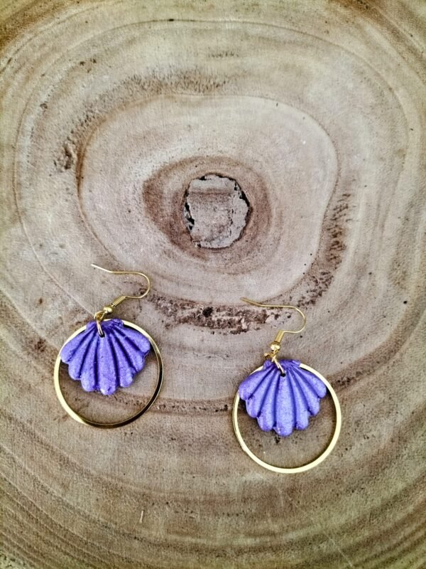 collection coquillage mauve