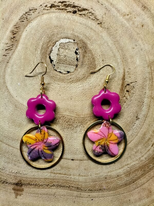 collection fuchsia
